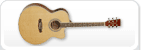 Guitarras acústicas