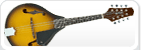 Mandolin Bags