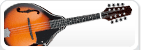 Mandolin Strings
